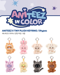 [ANITEEZ IN COLOR] Aniteez x Tiny Plush Keyring